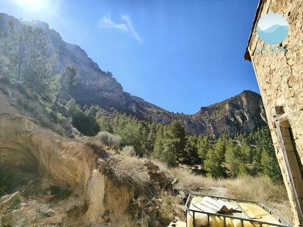 Terreno en camino de la Partida Pla de Cabeçó