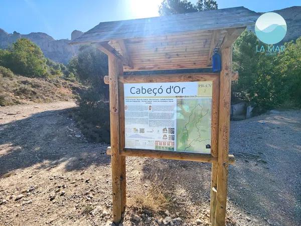 Terreno en camino de la Partida Pla de Cabeçó