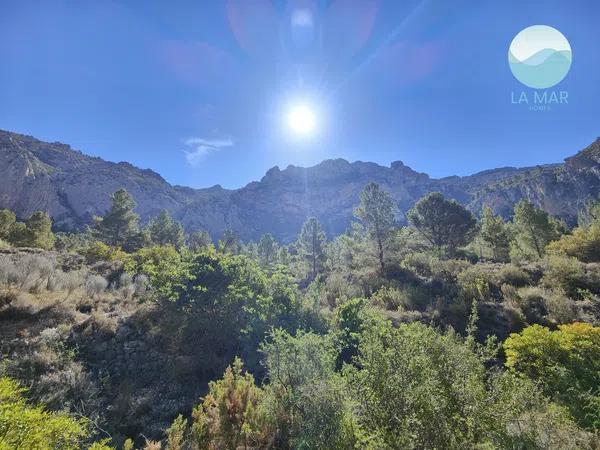 Terreno en camino de la Partida Pla de Cabeçó