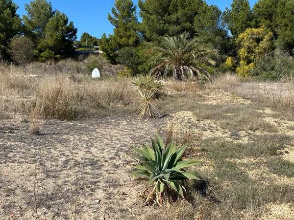 Terreno en Partida Racons, 1