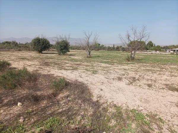 Terreno en Algoda-Matola-Llano de San José