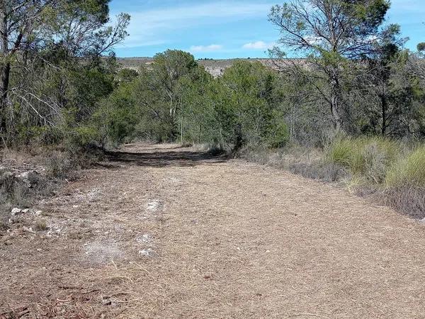 Terreno en l'Alcaná s/n