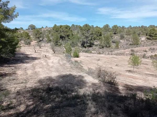 Terreno en l'Alcaná s/n