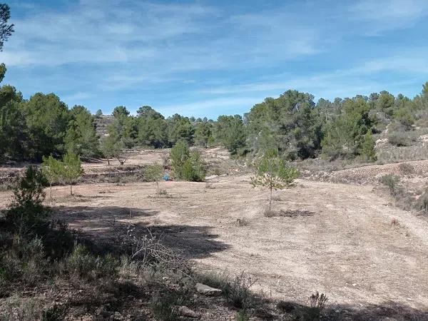 Terreno en l'Alcaná s/n