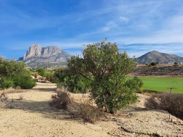 Terreno en Balcón de Finestrat-Terra Marina