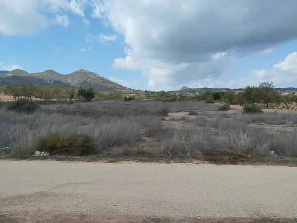 Terreno en Paraje Algueda, km 2