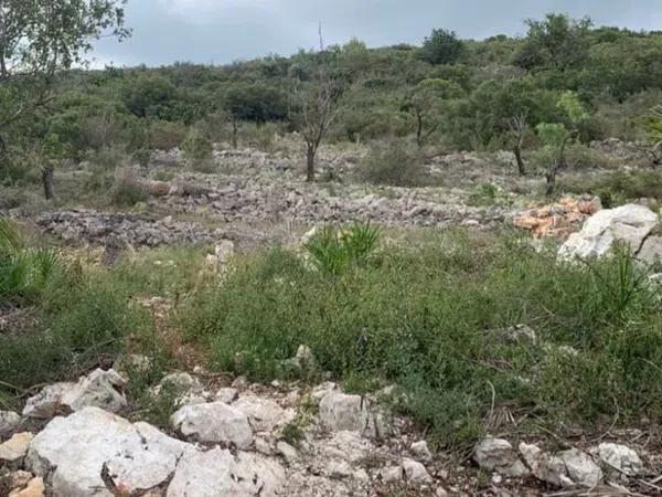 Terreno en carretera Gata, 101