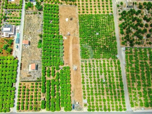 Terreno en Pego