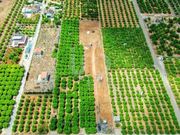 Terreno en Pego