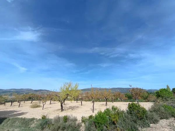 Terreno en Ibi