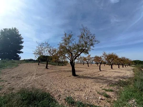 Terreno en Ibi