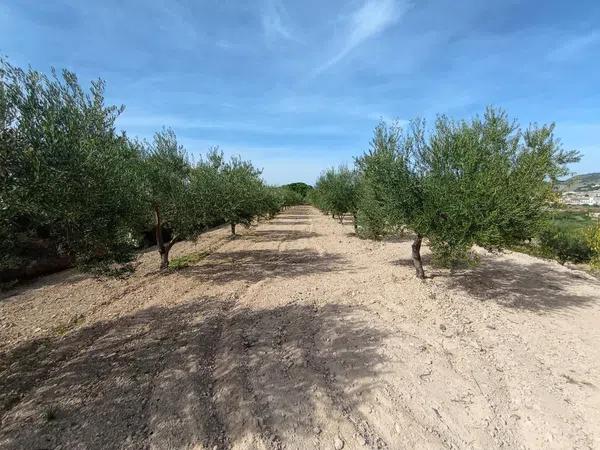 Terreno en Ibi