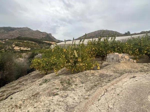 Terreno en Callosa d'En Sarria