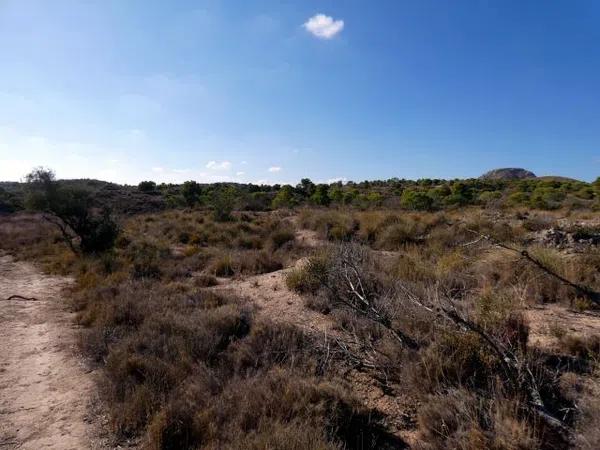 Terreno en via Pista