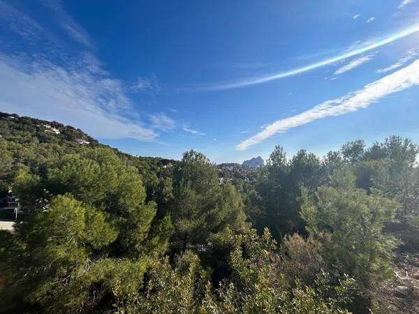 Terreno en Cometa-Carrió