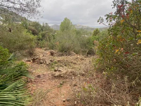 Terreno en Rafol de Almunia