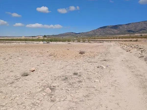 Terreno en Pinoso