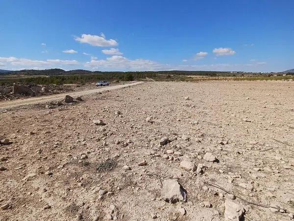 Terreno en Pinoso