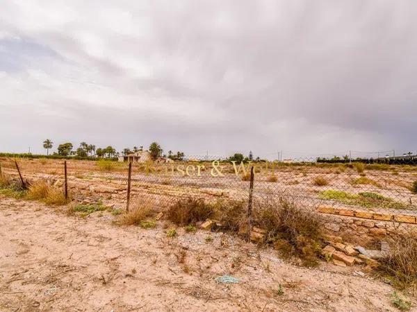 Terreno en carretera Elx - Santa Pola