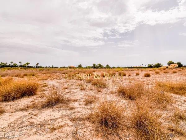 Terreno en carretera Elx - Santa Pola