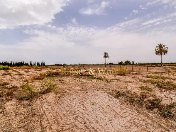 Terreno en carretera Elx - Santa Pola