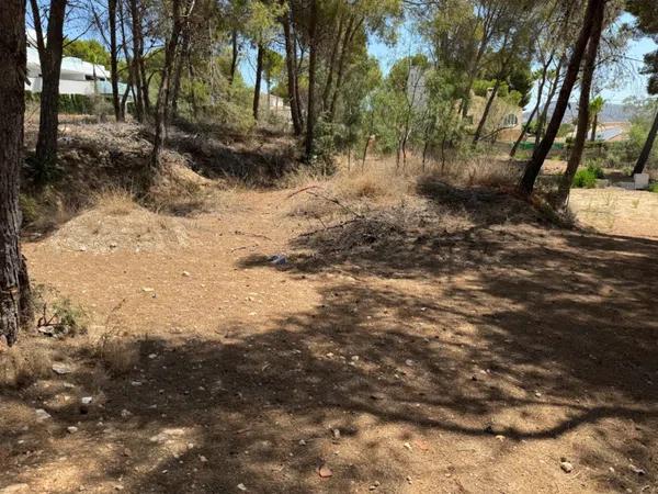 Terreno en Pinar de Advocat-Cometa