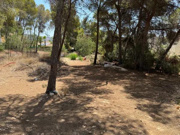 Terreno en Pinar de Advocat-Cometa