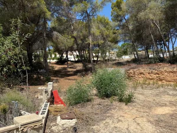 Terreno en Pinar de Advocat-Cometa