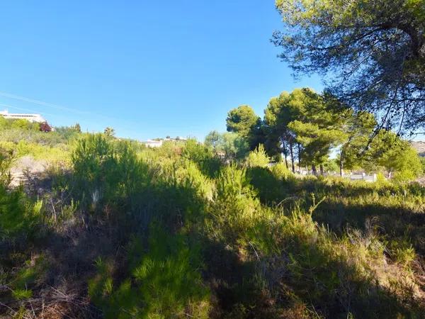 Terreno en Cometa-Carrió