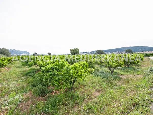 Terreno en Orba