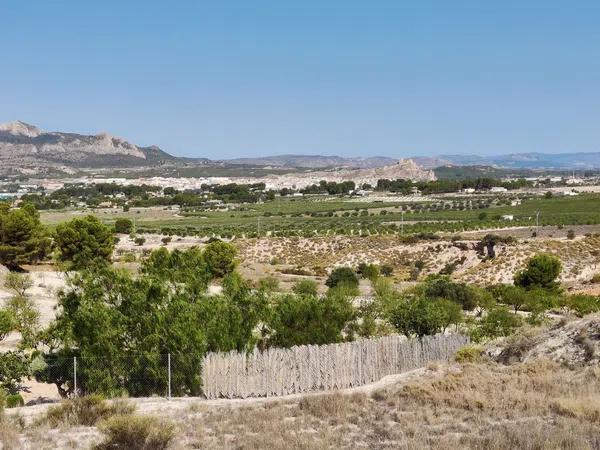 Terreno en Partida Pedreres Altes, 24