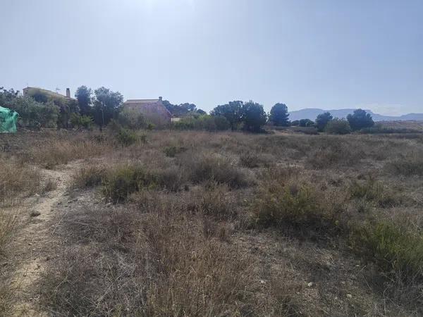 Terreno en avenida los Cabos, 53