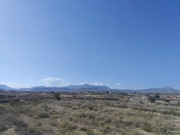 Terreno en avenida los Cabos, 53