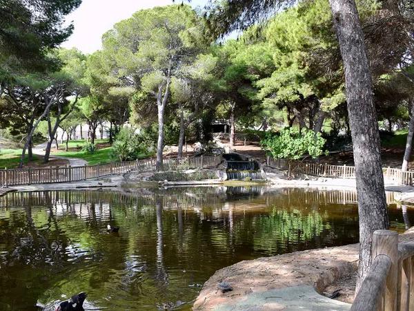 Terreno en Zona Pueblo