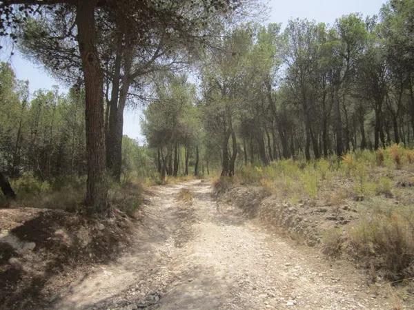 Terreno en via del Mediterráneo