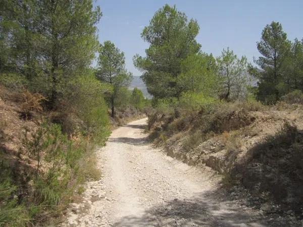 Terreno en via del Mediterráneo