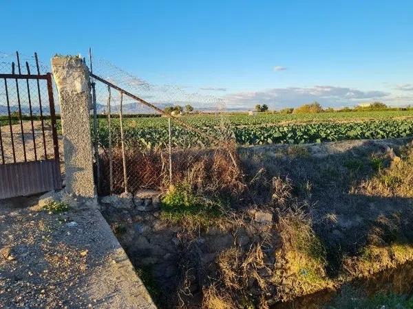 Terreno en Partida Fogaria