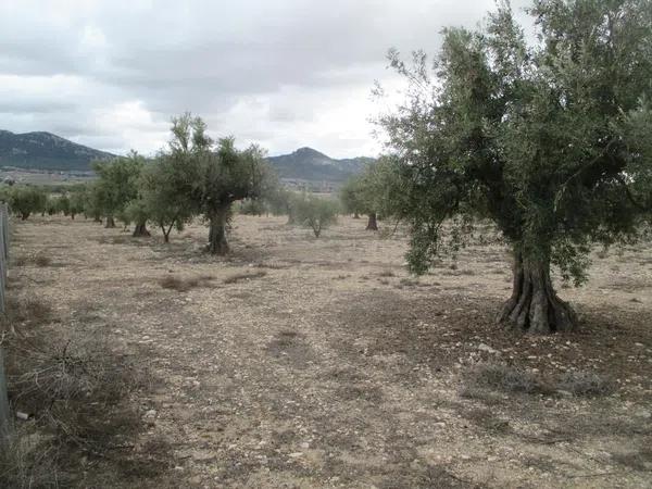 Terreno en calle la Solana