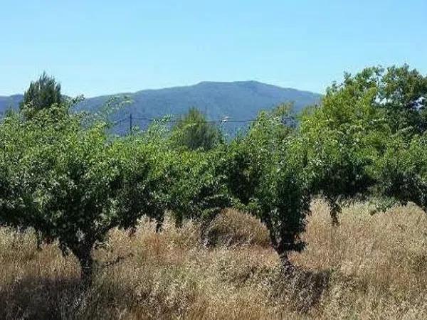 Terreno en Partida Devesa