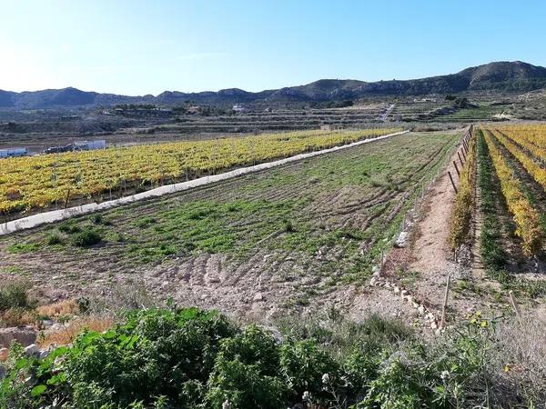 Terreno en Horna Baja