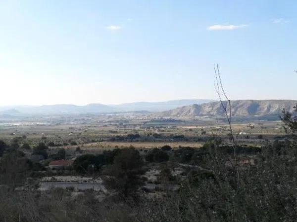 Terreno en Peña Rubia