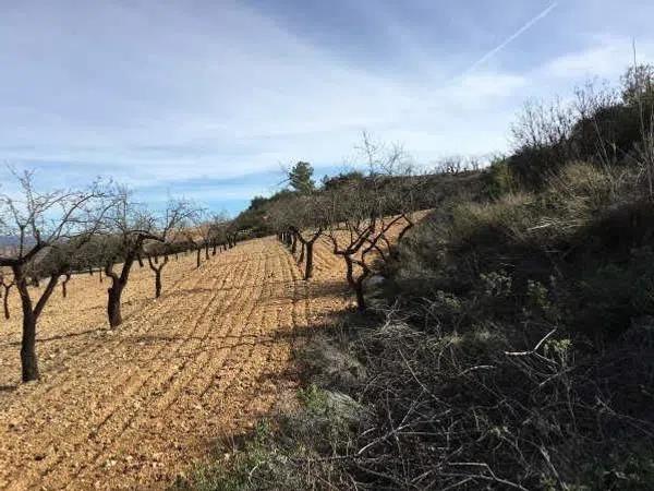 Terreno en Solana Alta