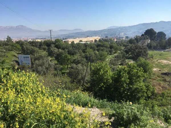 Terreno en calle Beniasent