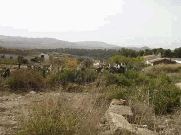 Terreno en camino de las Lometas