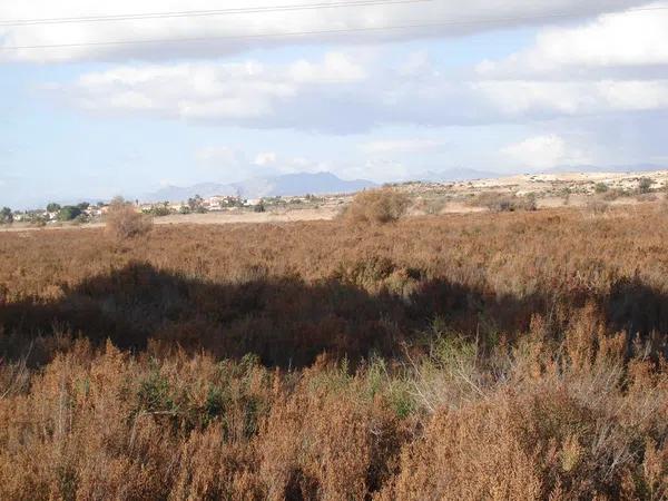 Terreno en Balsares