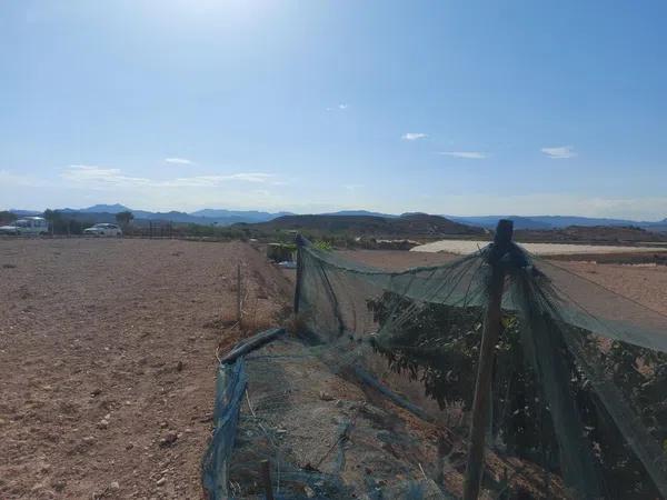 Terreno en Monforte del Cid