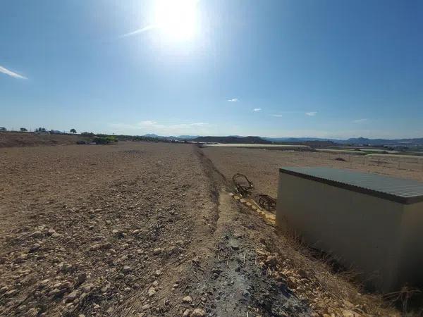 Terreno en Monforte del Cid