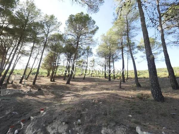 Terreno en Torremanzanas