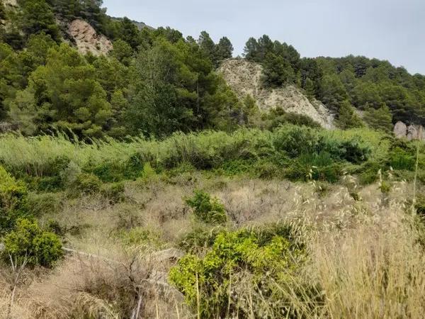 Terreno en Guadalest