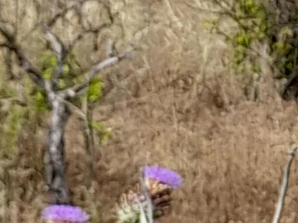 Terreno en Guadalest